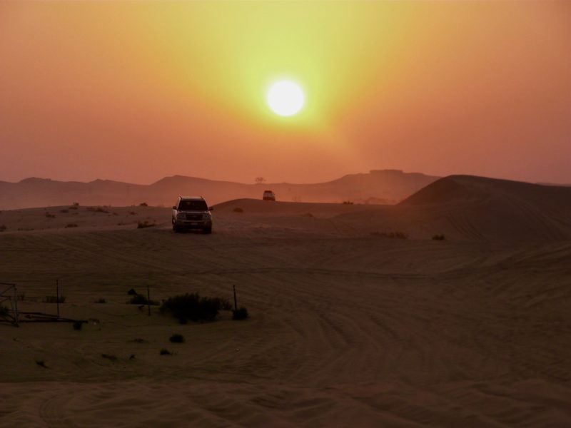 Exploring the desert near Abu Dhabi