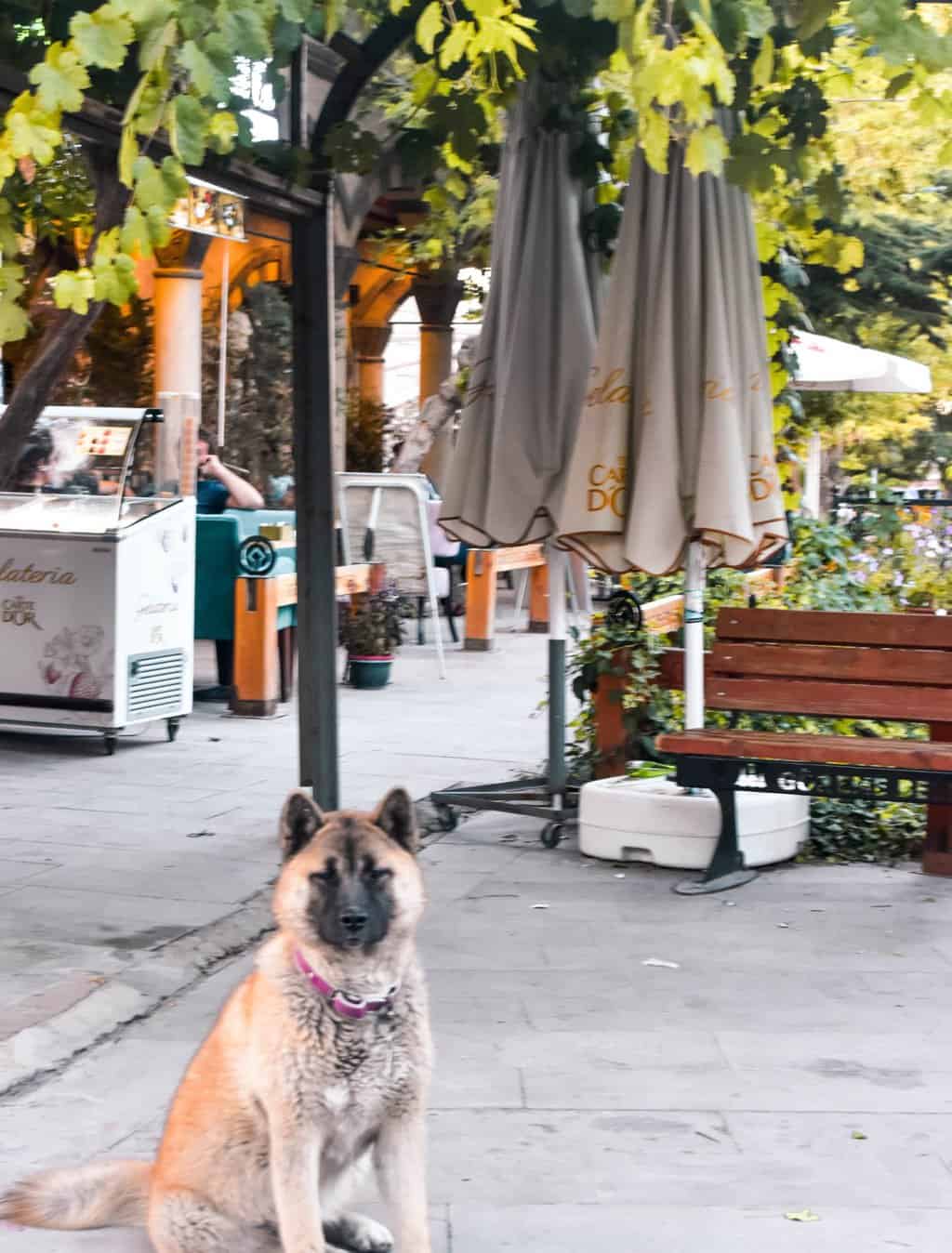 Cappadocia town centre