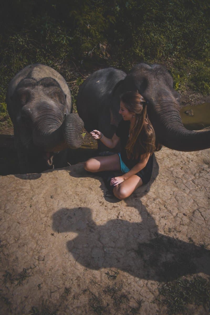 Ethical elephant experience in Luang Prabang