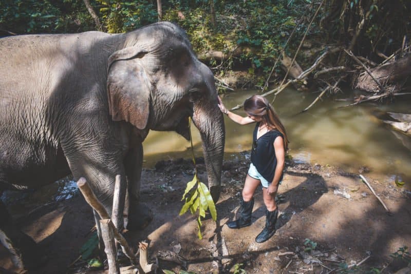 An ethical elephant experience near Luang Prabang
