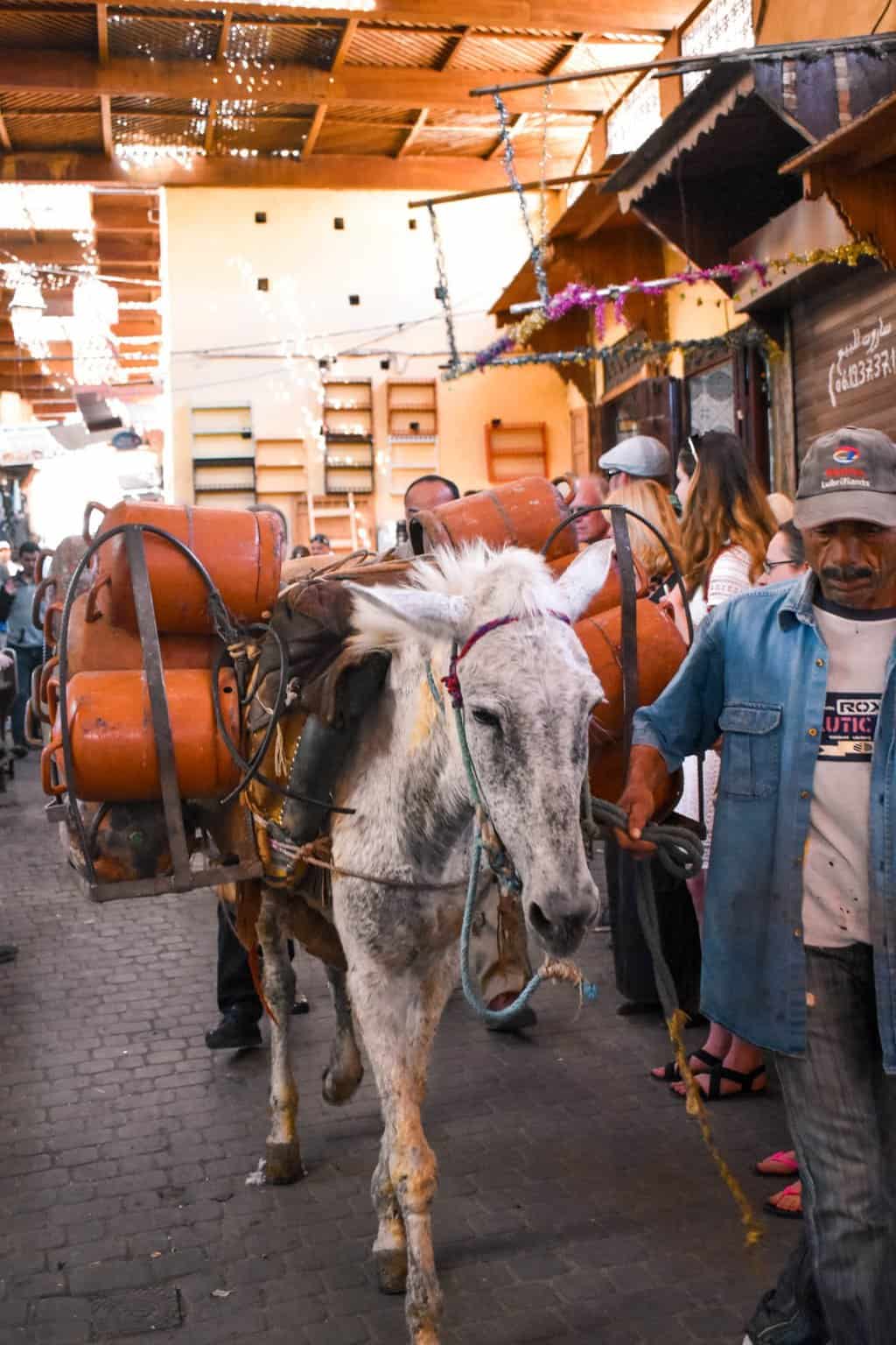 how to spend 3 days in Fes