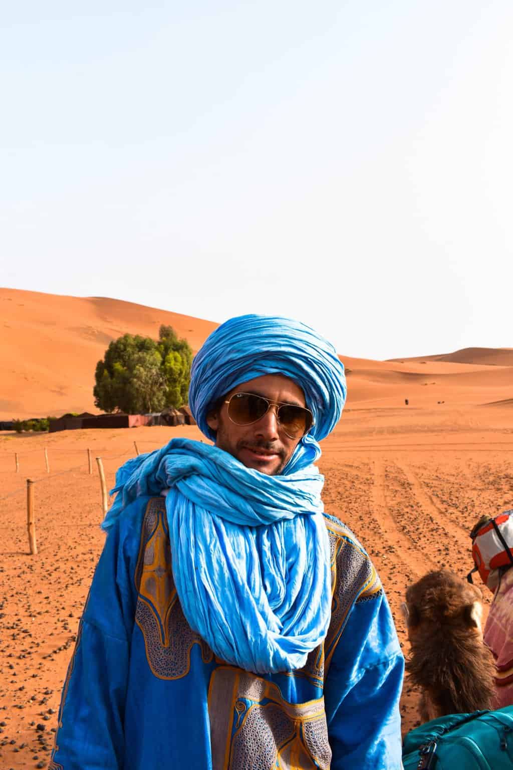 Sahara guide