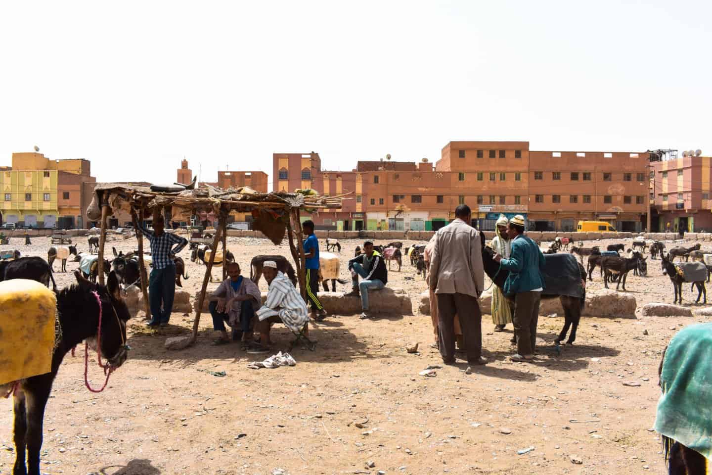 what to see in the Sahara Desert, Morocco