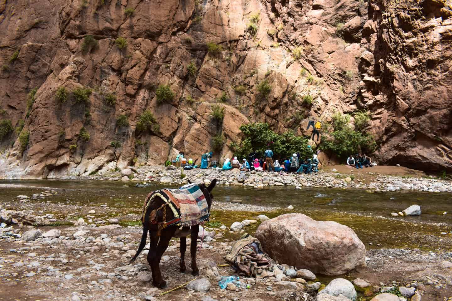 the Todra Gorge Morocco