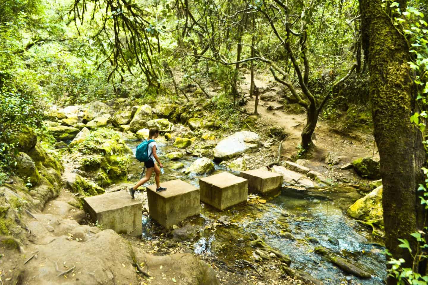 hiking route in the Rif Mountains, Morocco