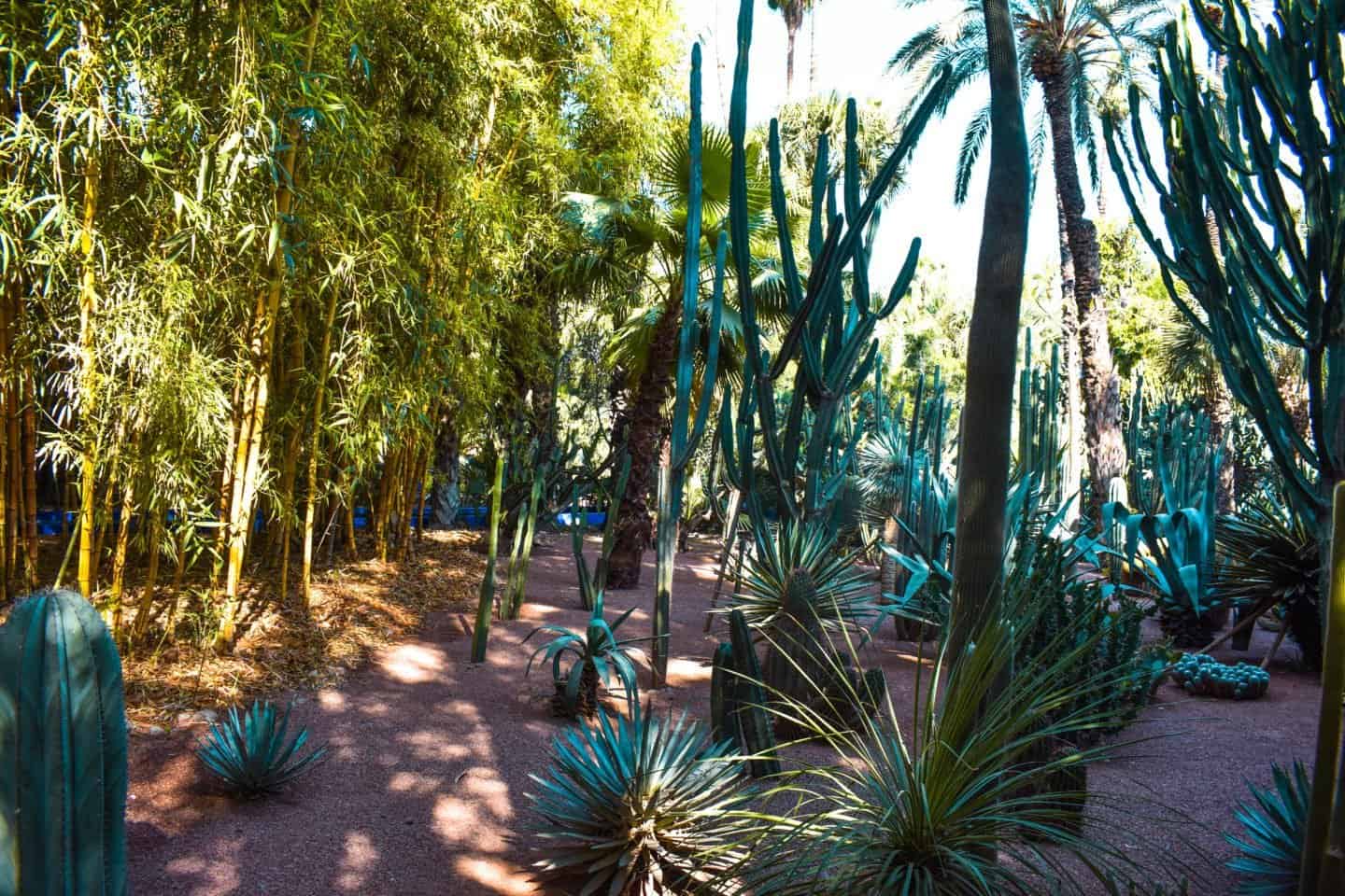 Visiting Le Jardin Majorelle in Marrakech