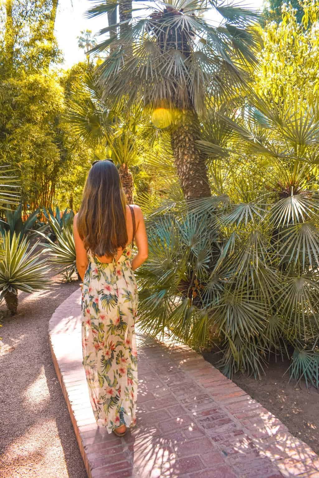 ysl gardens in marrakech entry fee