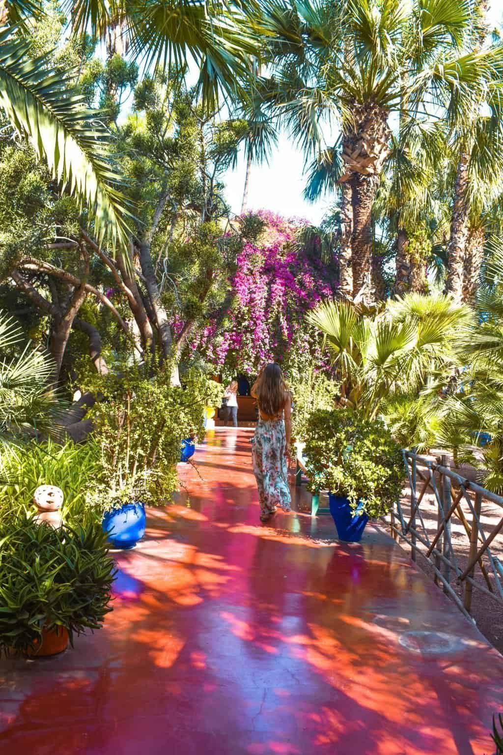 visiting le jardin majorelle marrakech