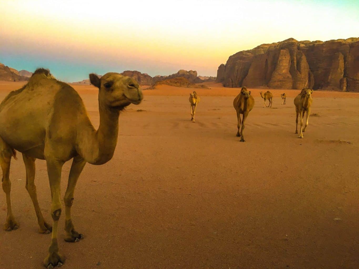 how to get to Wadi Rum