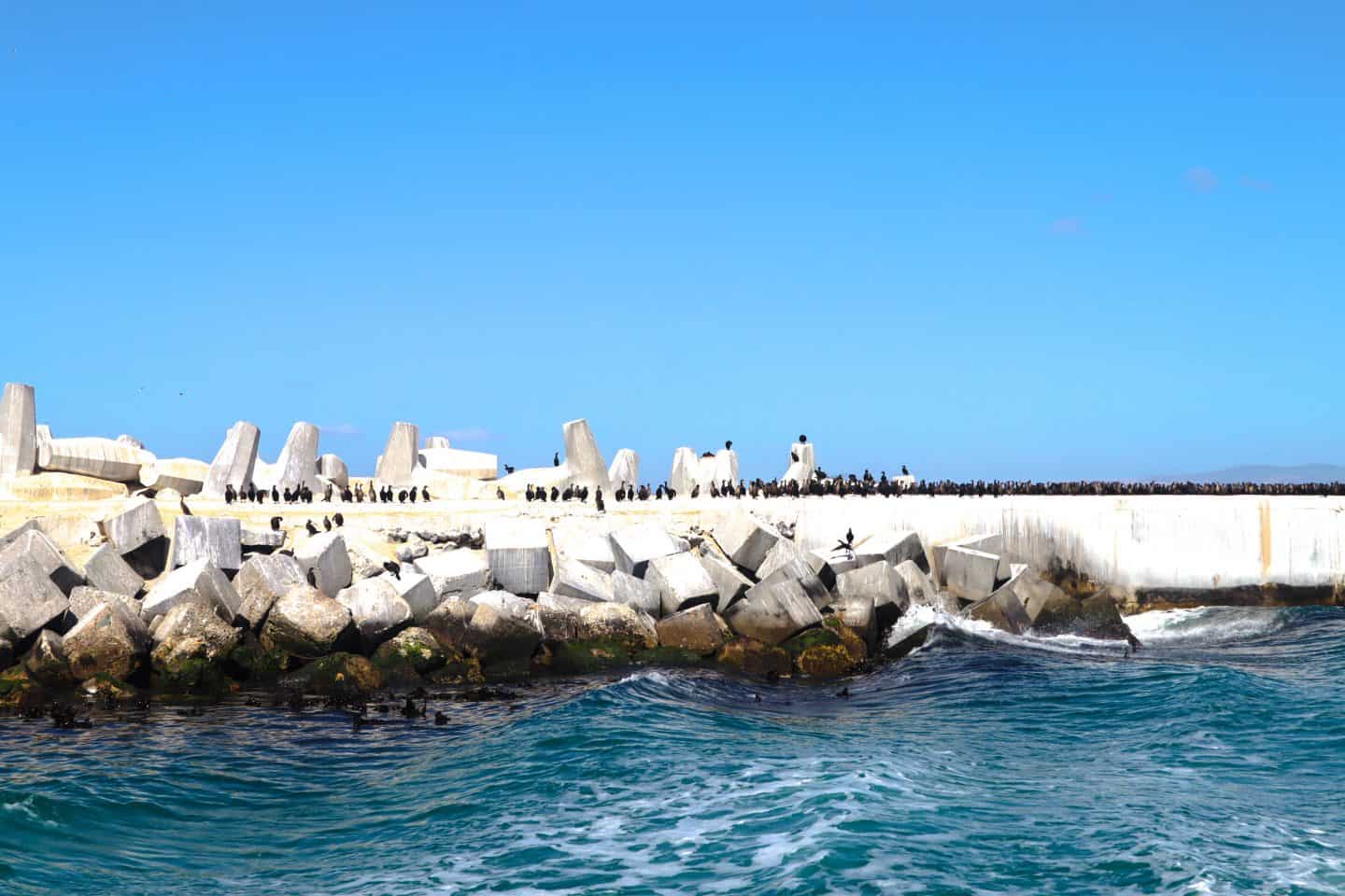 Arriving on Robben Island