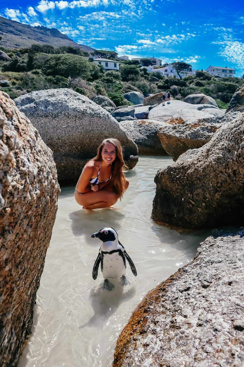 a penguin at Boulders Beach