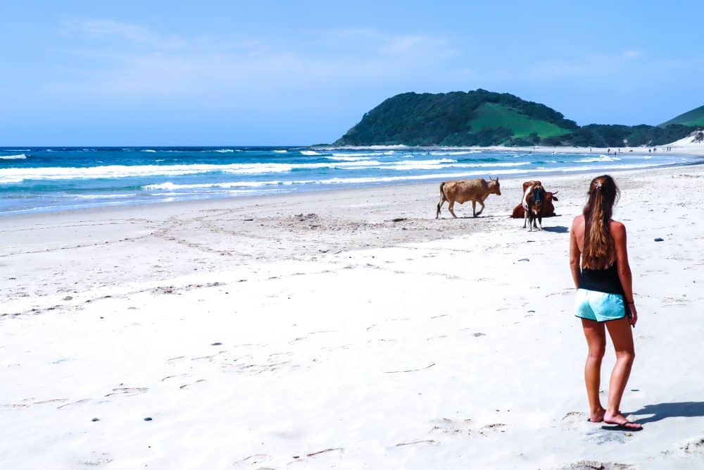 Coffee Bay Beach in the Eastern Cape in South Africa