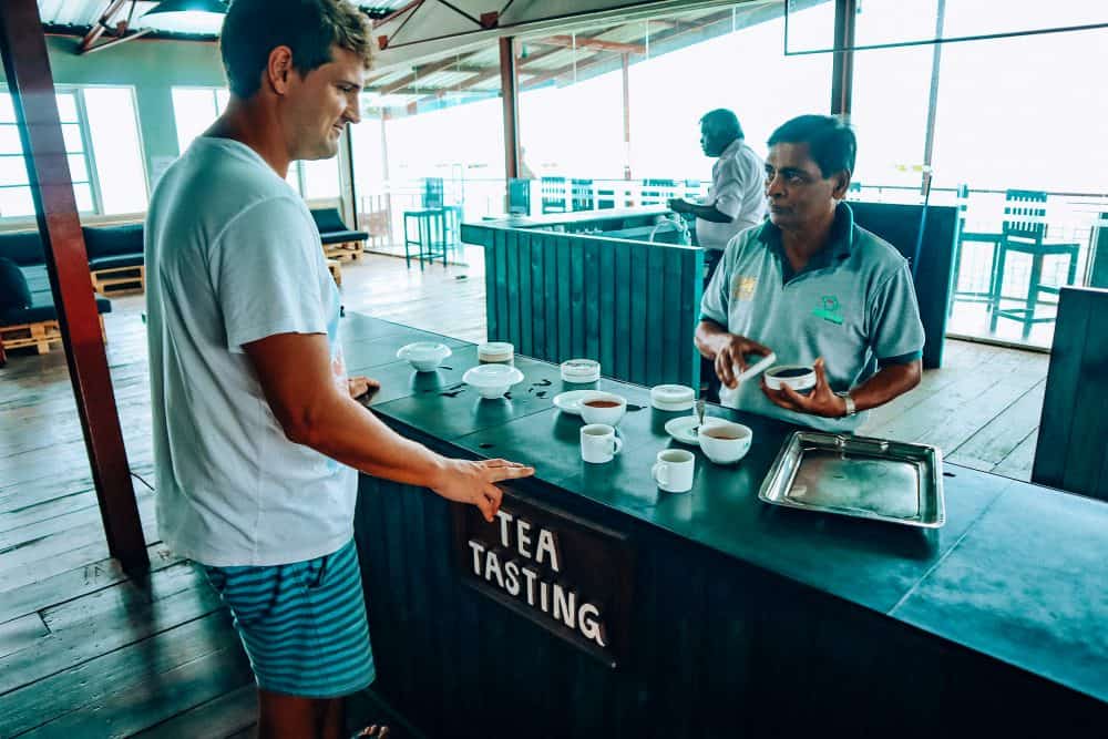Greg doing a tea tasting in Ella, Sri Lanka