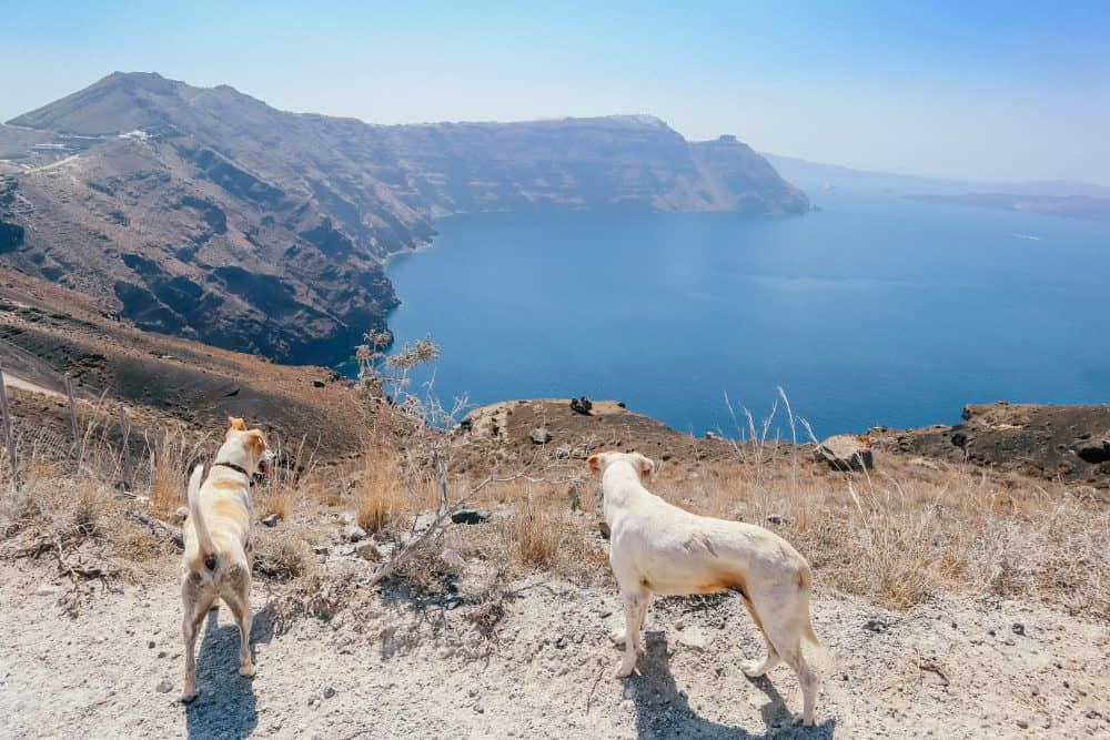 hiking from Oia to Thira in Santorini