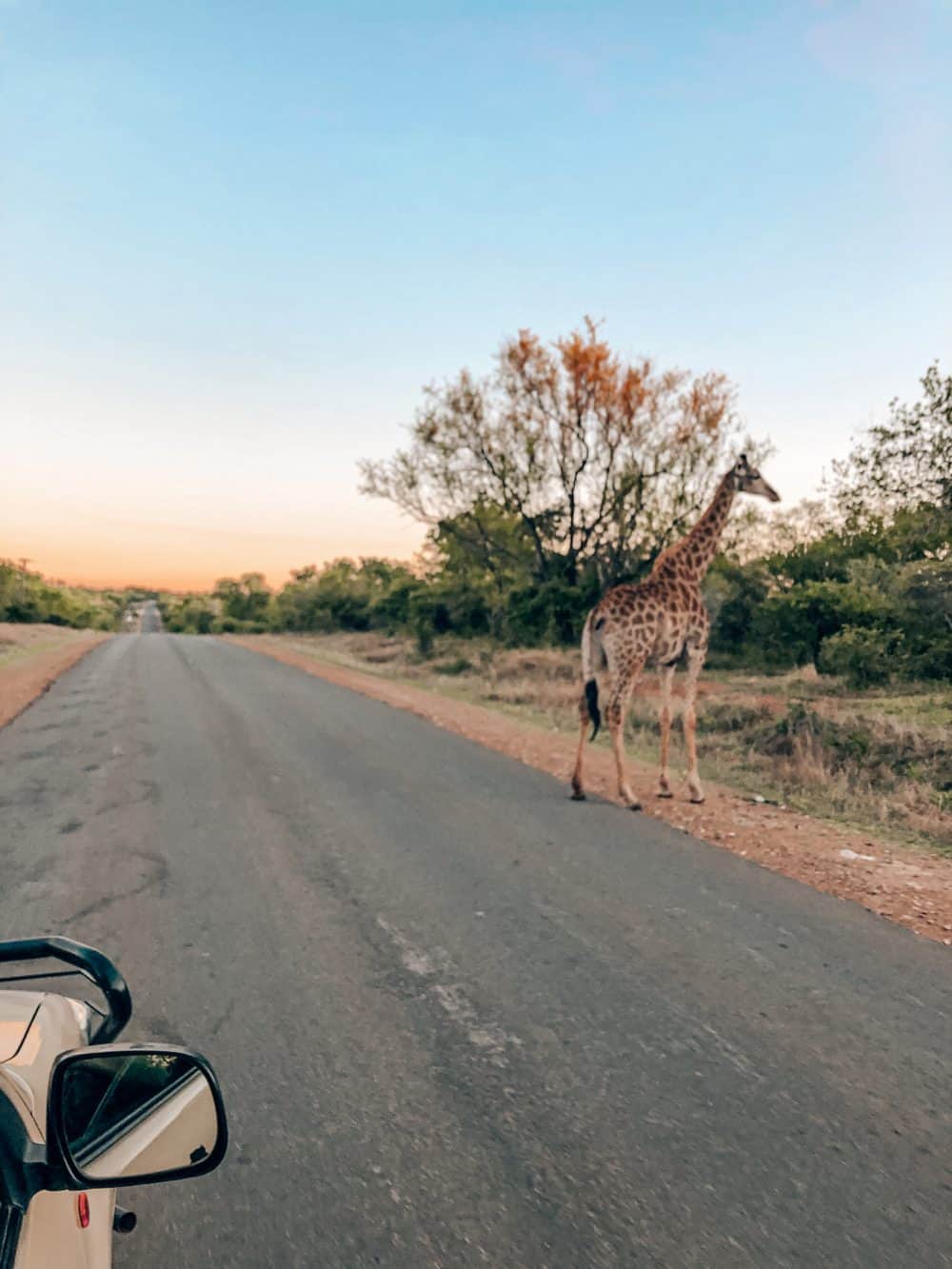 visiting Kruger national park