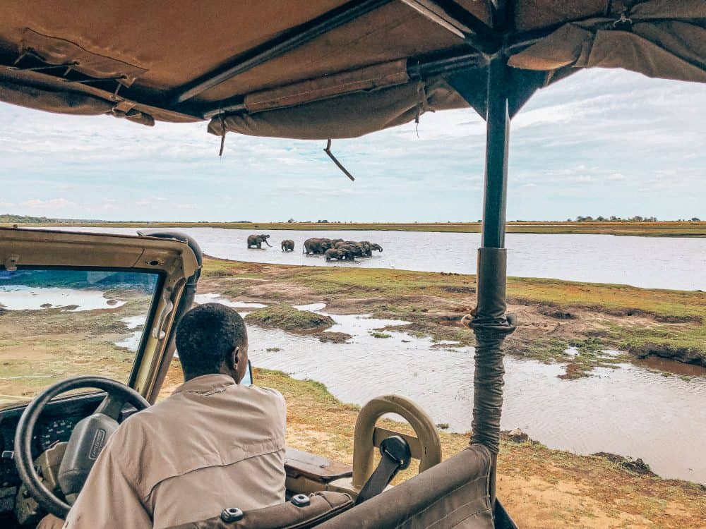 Safari in Chobe National Park in Botswana