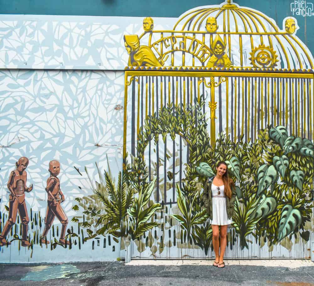 Wynwood Arts District