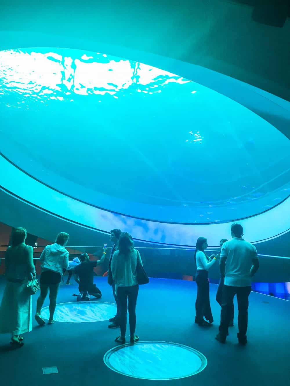 The Aquarium at the Frost Science Museum, Miami
