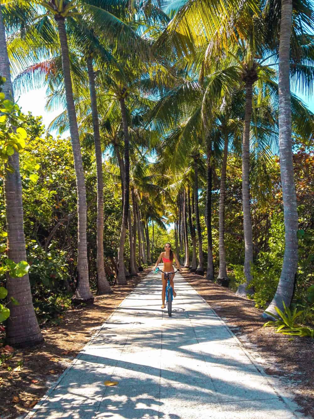 Cycling in Key Biscayne