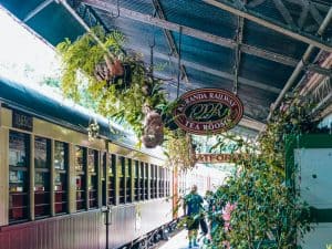 Best things to do in Cairns