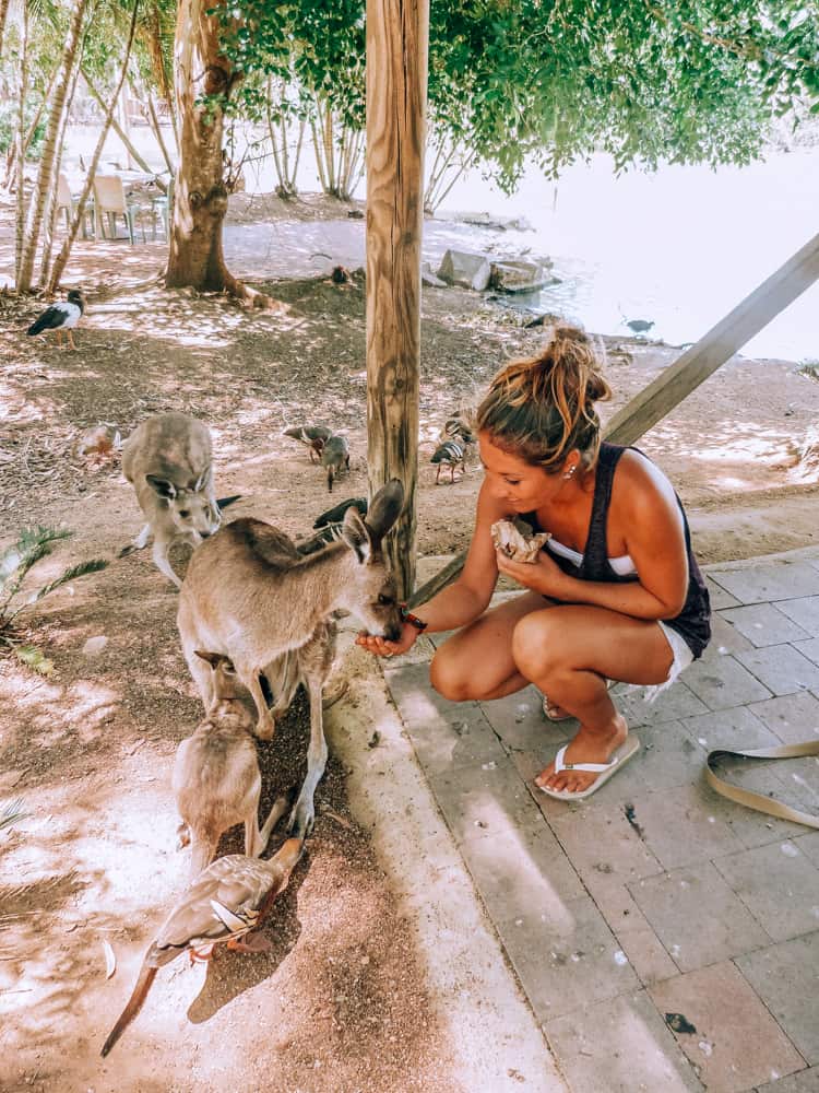 Activites to do on the East Coast Australia