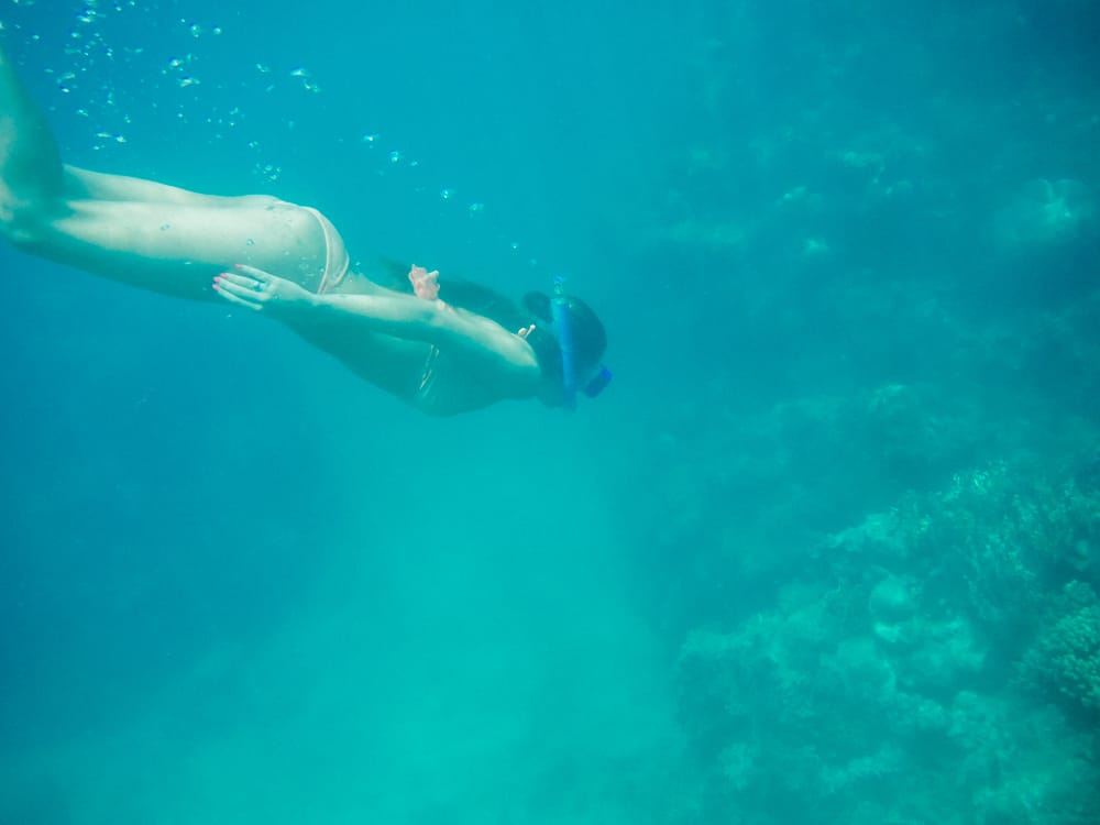 Snorkelling in the Great Barrier Reef