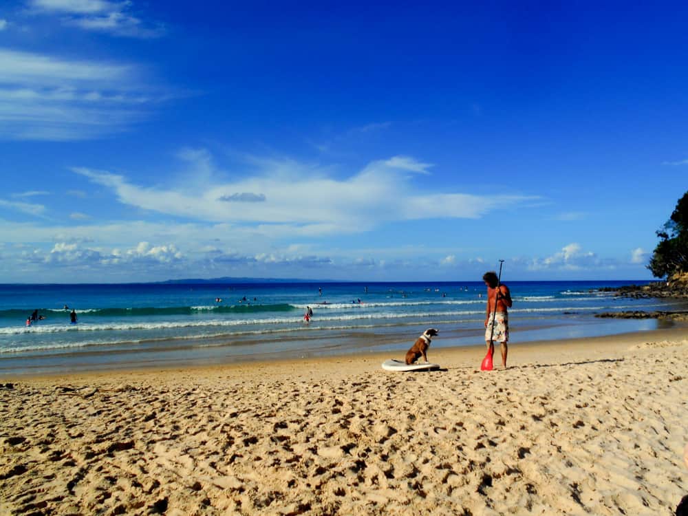 Locals in Noosa, Queensland