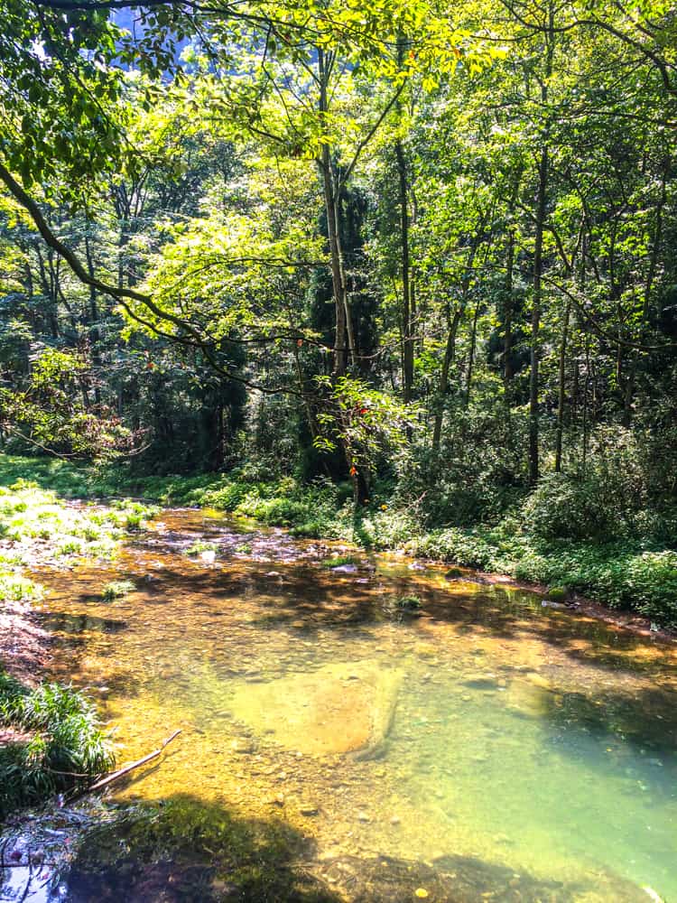 Zhangjiajie scenery