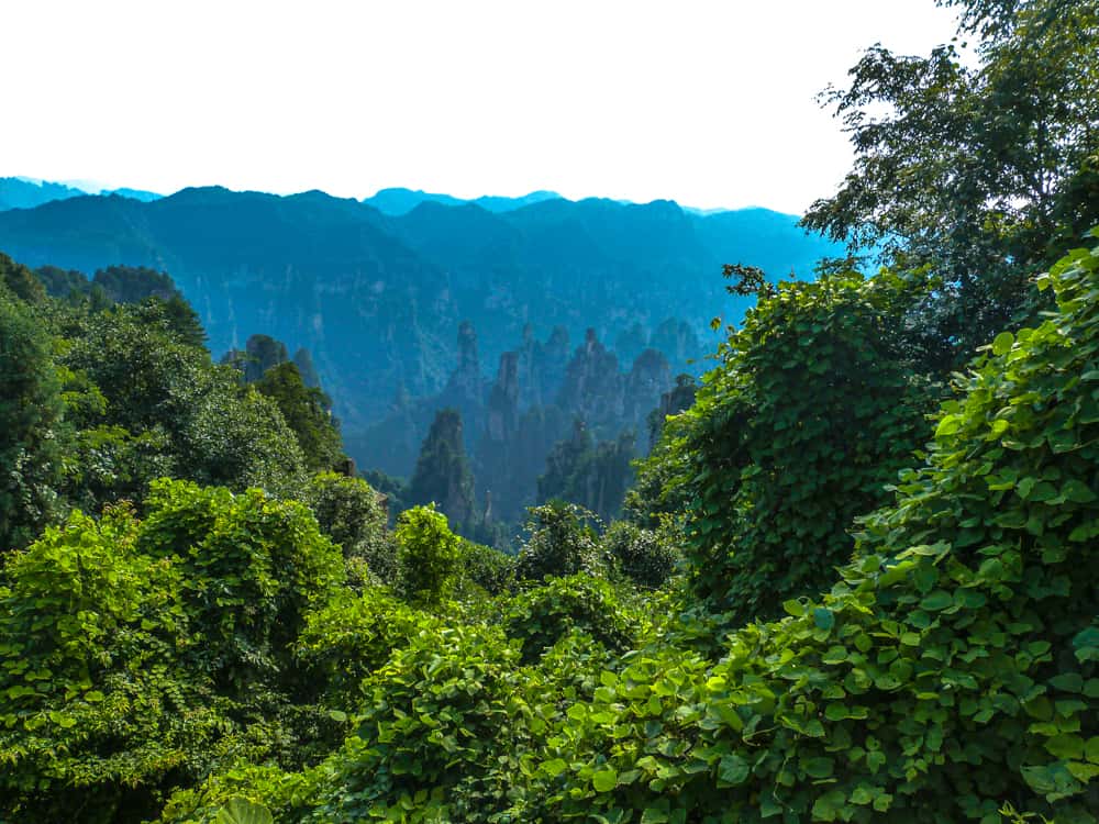 Zhangjiajie National Park in China