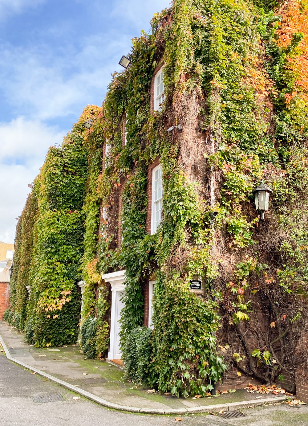 Gorgeous mews near Sloane Square