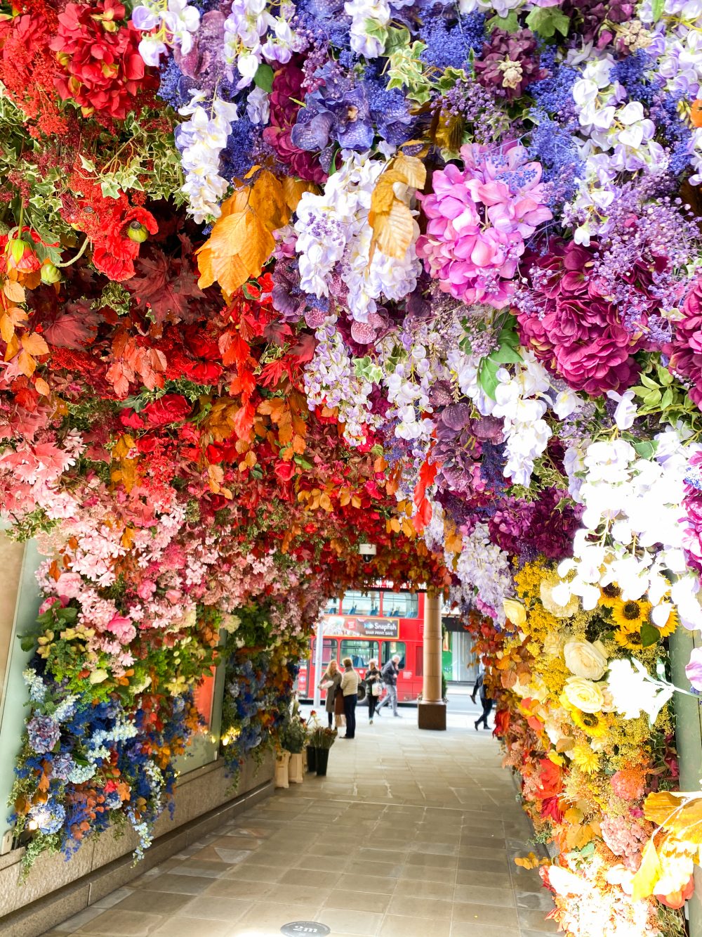 Colourful Chelsea in Bloom