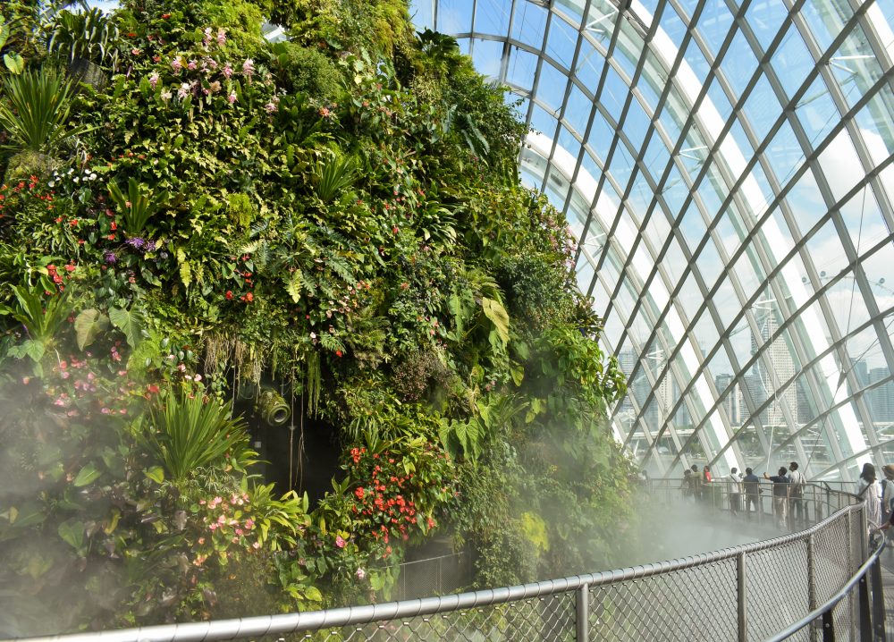 In the Cloud Forest inside the awesome Gardens by the Bay