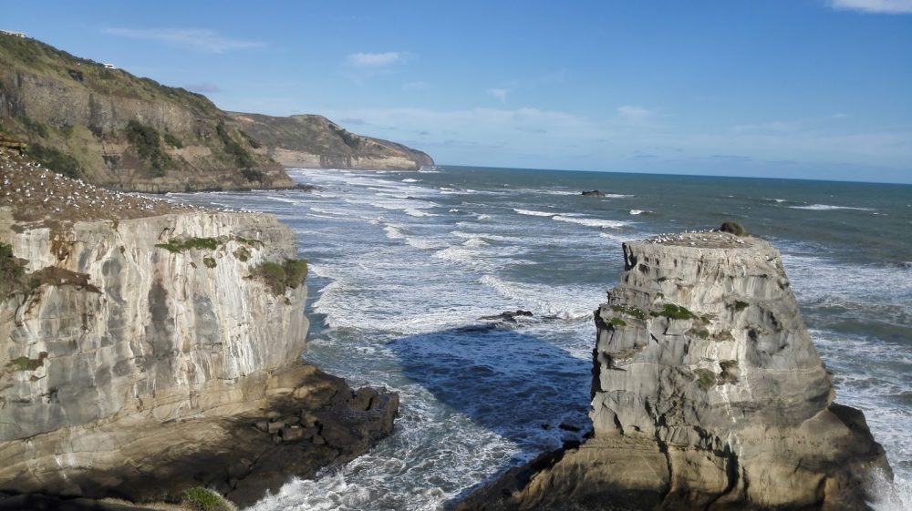 Muriwai Beach & Gannet Colony