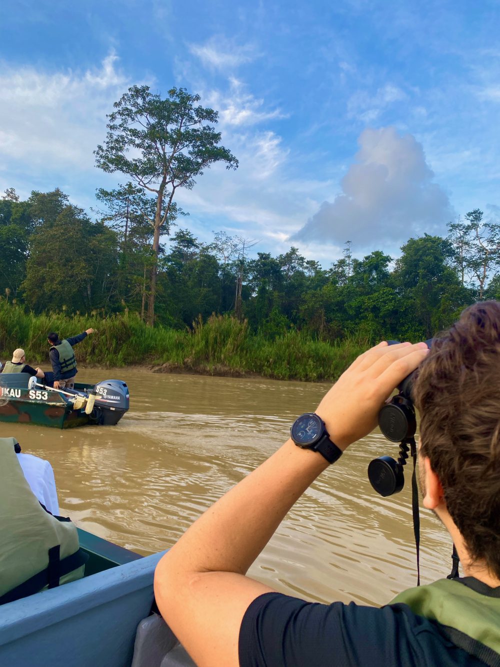 Wildlife spotting on the Kinabatangan River