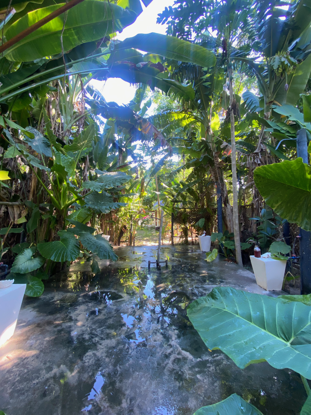 The amazing outside communal shower area at Tao Beach Farm