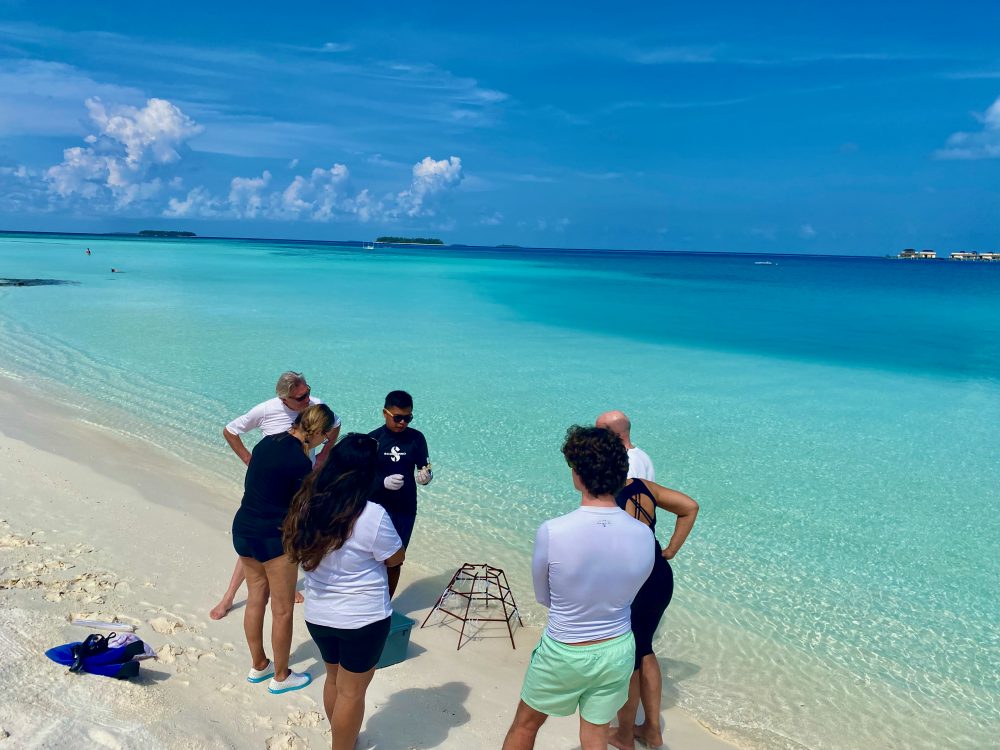 Coral planting at Angsana Velavaru