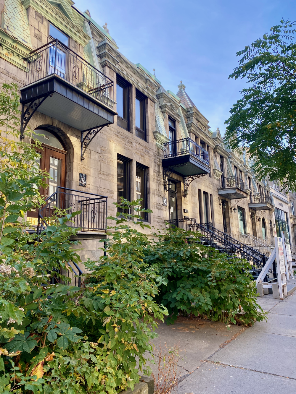 Charming residential streets in Montréal