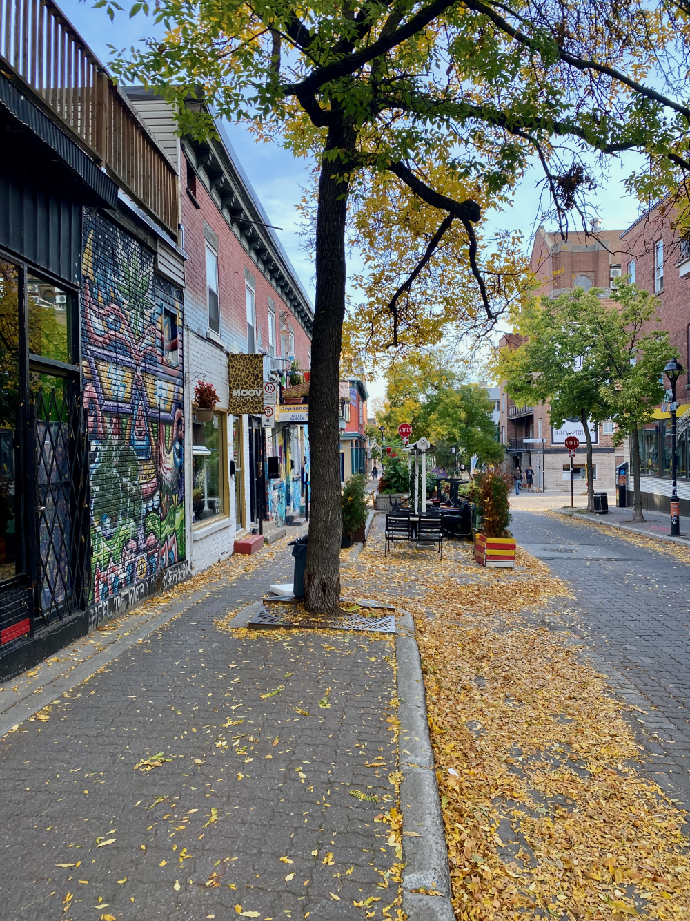 Saint Laurent Boulevard in Montréal