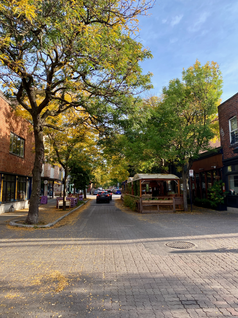 Leafy autumnal streets near Saint Laurent Boulevard