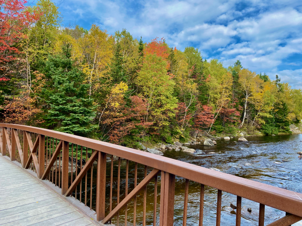 The beautiful Steam Trail Walk in Corner Brook, Newfoundland