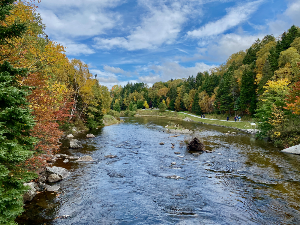 New England and Canada Fall Cruise