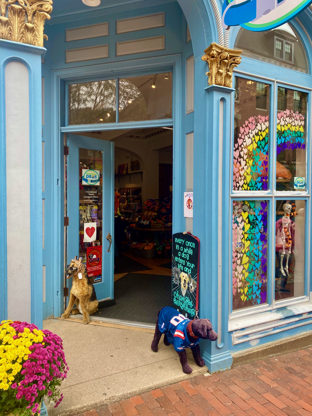 Uncommon Paws in Portland, Maine