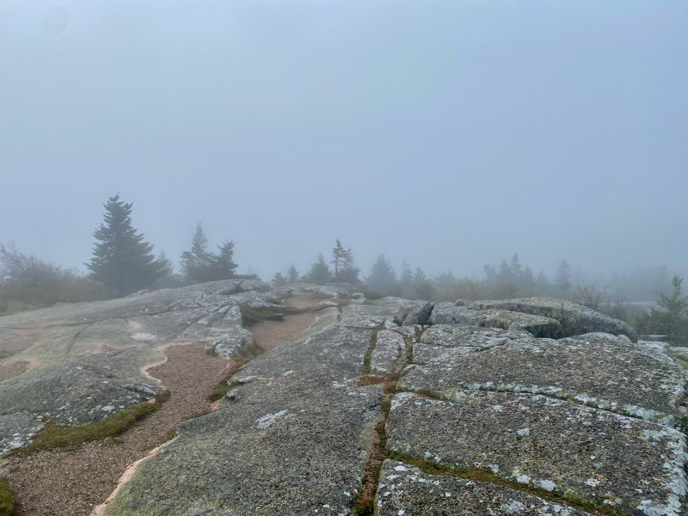 Our view from the top of Cadillac Mountain, in Bar Harbour, Maine