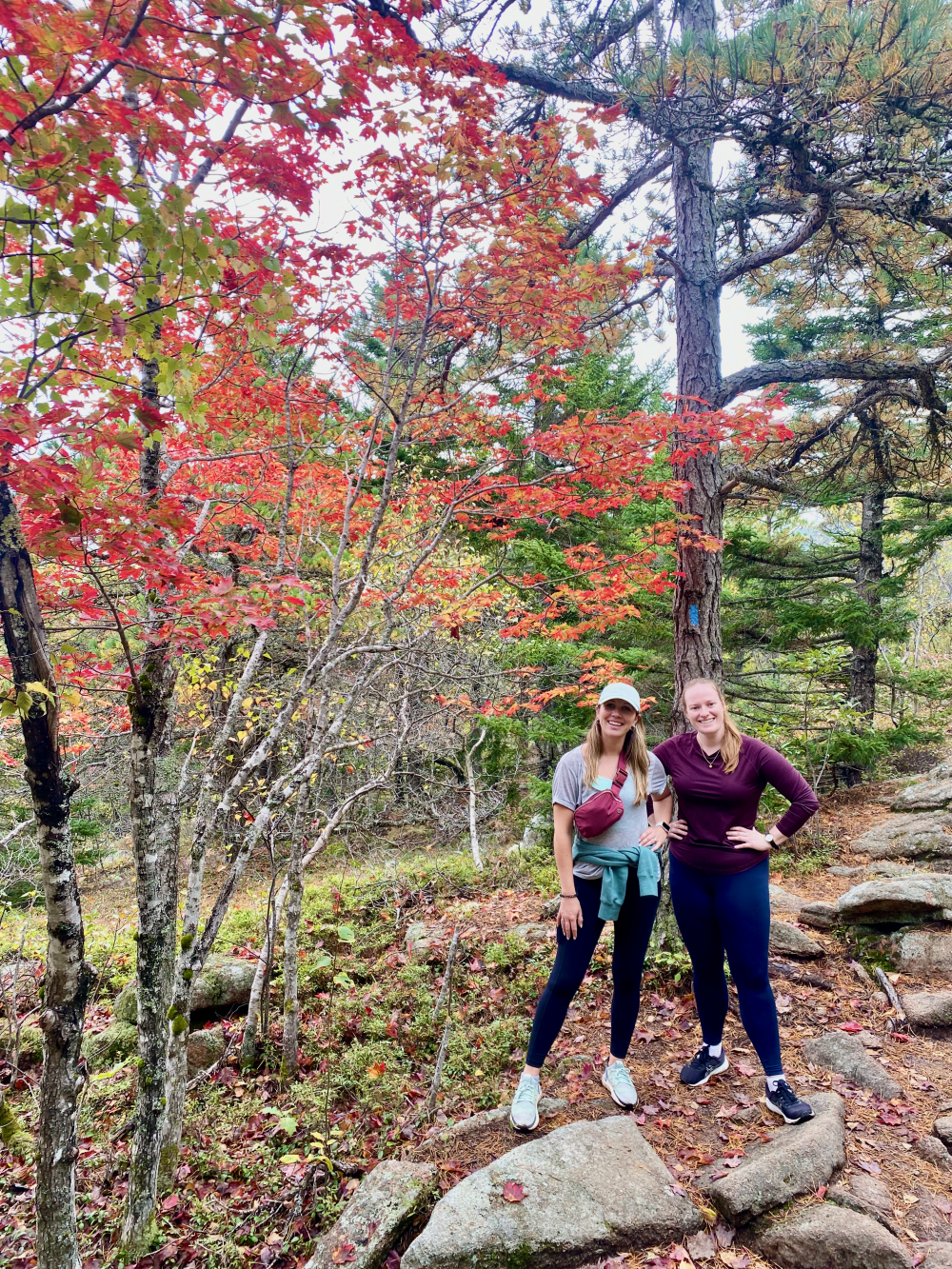 Enjoying fall foliage as we hike through Acadia National Park