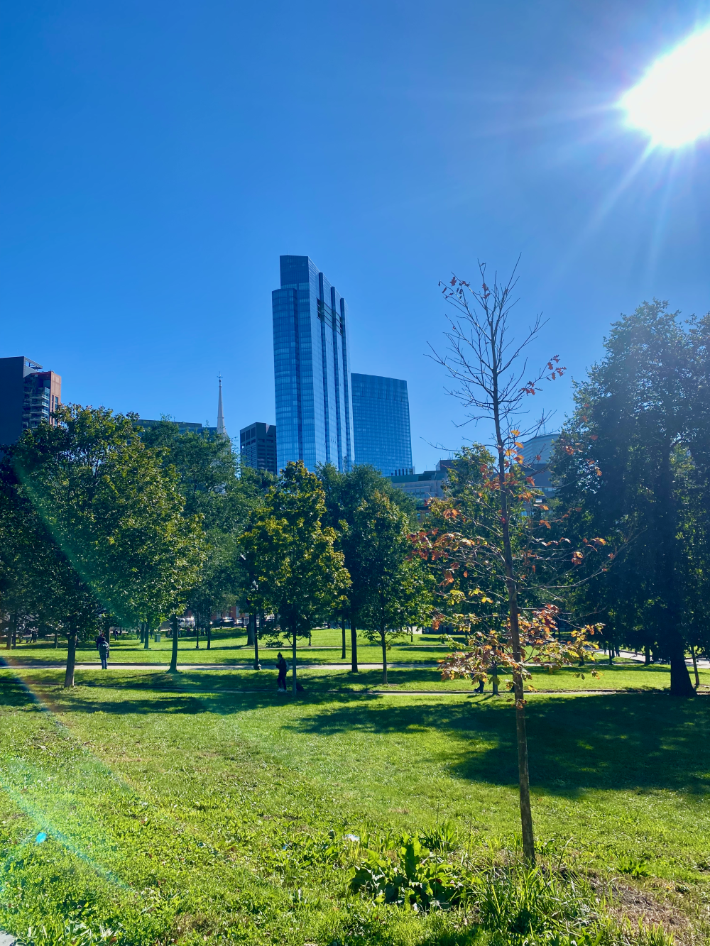Boston Common, the start of the Freedom Trail