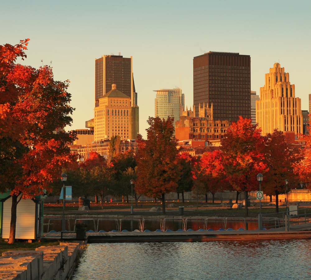 Beautiful fall day in Montreal