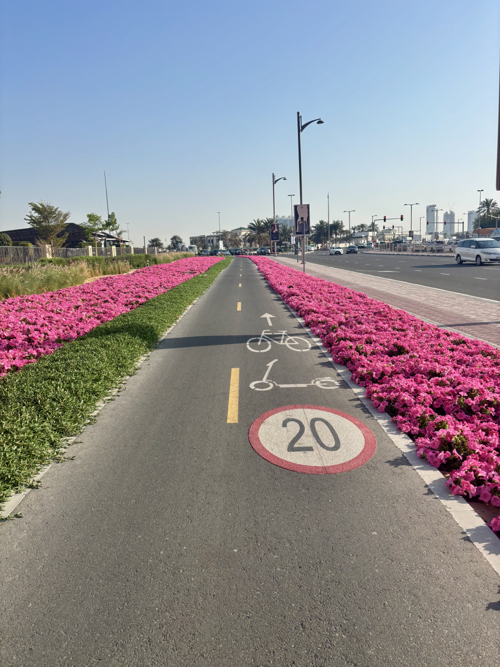 Cycling lanes in Dubai