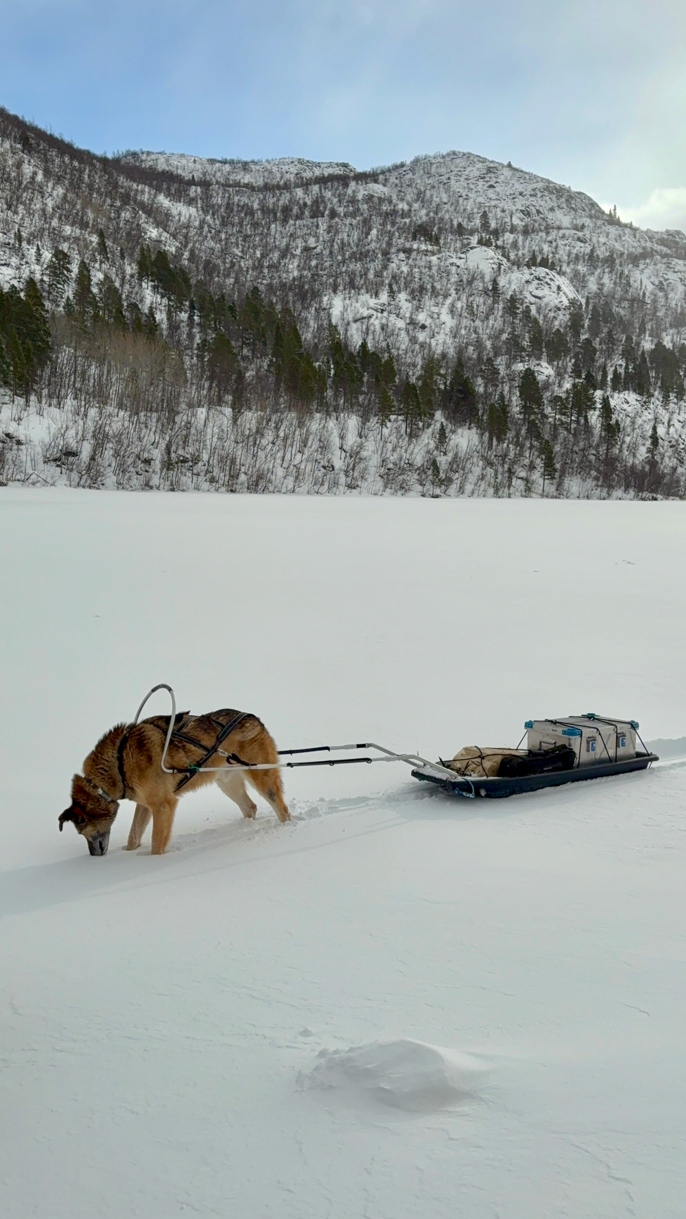Snowshoeing and icefishing, two of the best activities to do on a winter arctic adventure in Alta, Norway