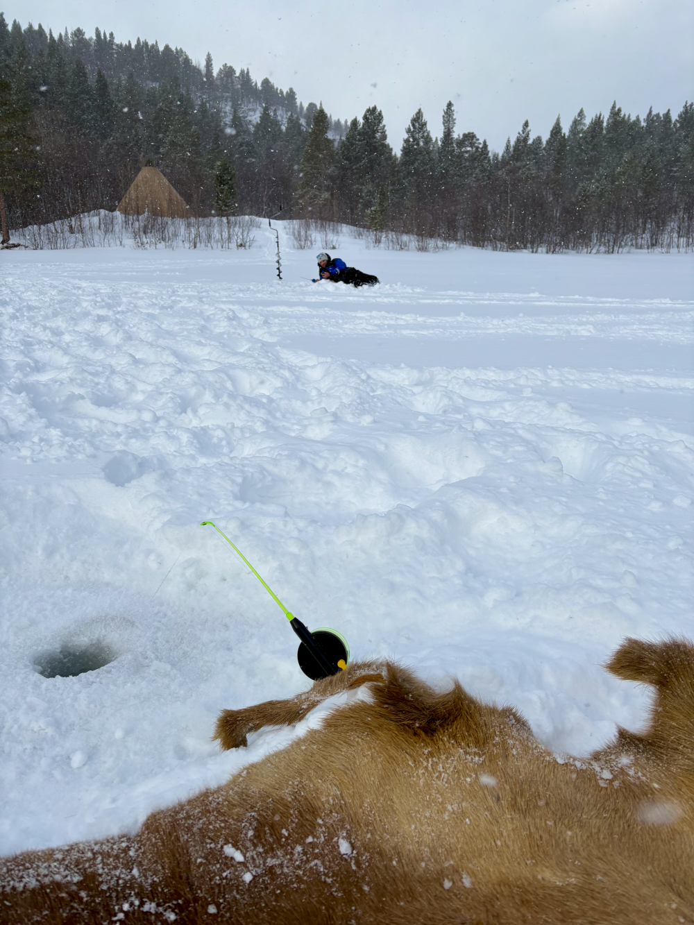 Snowshoeing and icefishing, two of the best activities to do on a winter arctic adventure in Alta, Norway