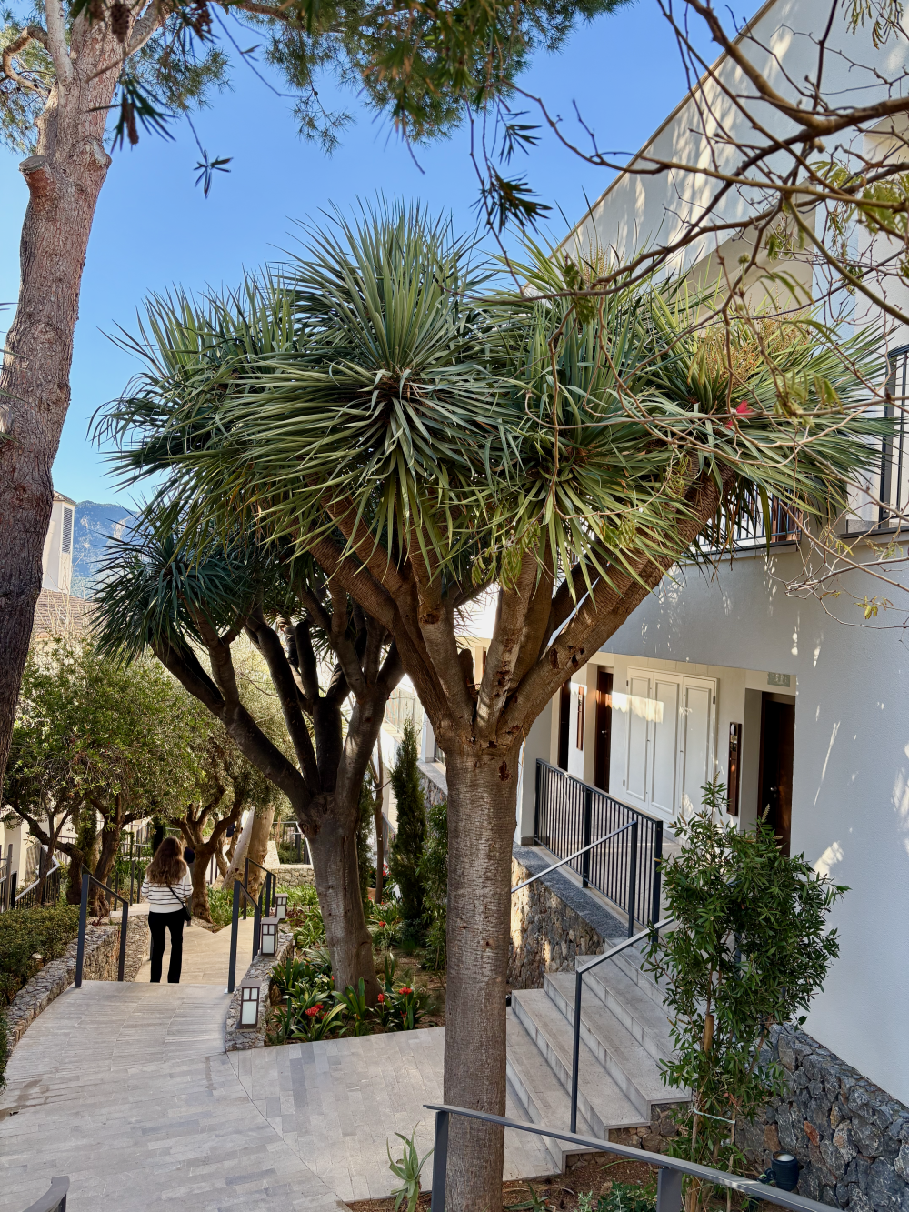 Where to stay in Mallorca